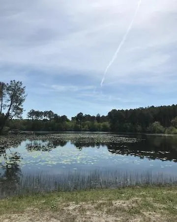 Village Aux Villages Sous Les Pins * Léon